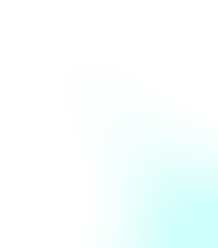 why-overlay-1 w-full h-full